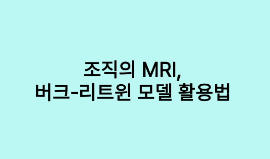 조직의 MRI, 버크-리트윈 모델 활용법 썸네일